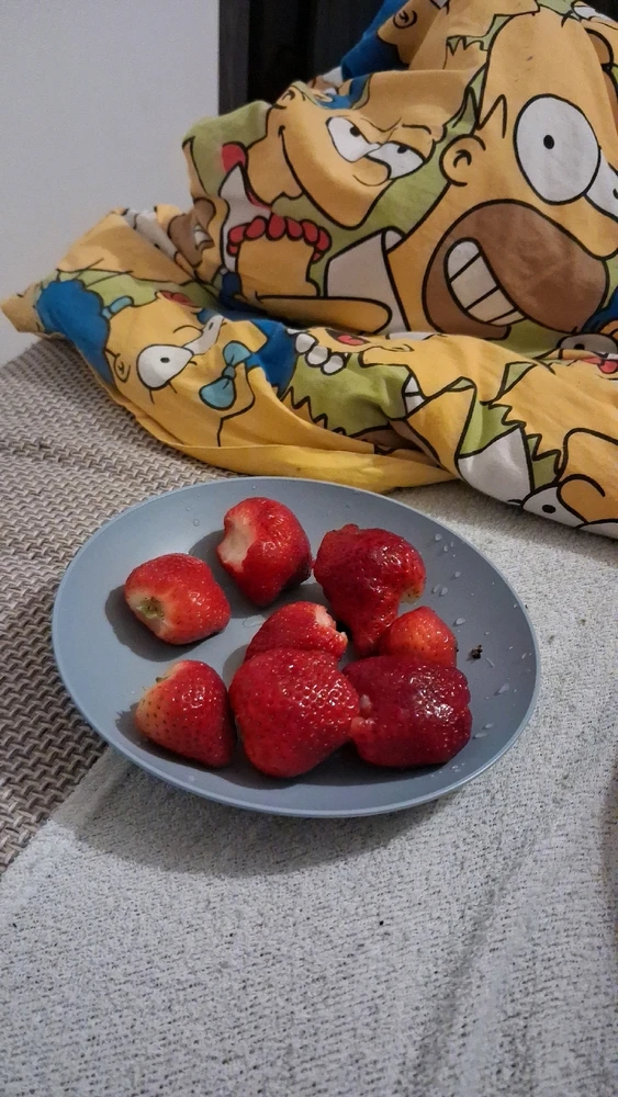 Obrázek nahrál Vydlák z Maloměsta