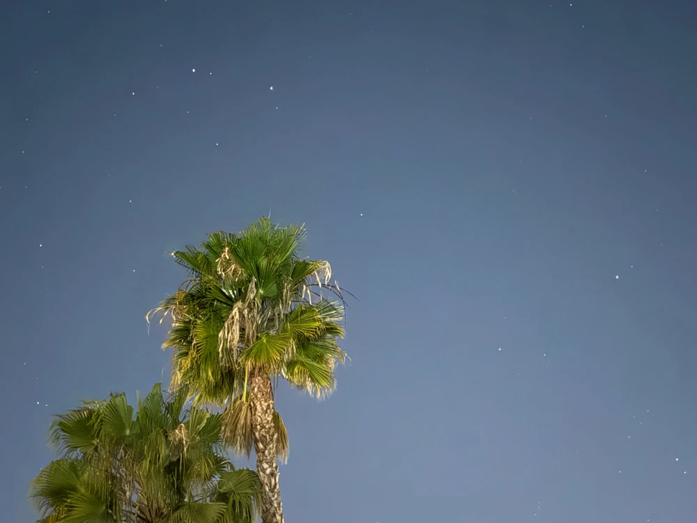 Image uploaded by Guy-O-Blanco