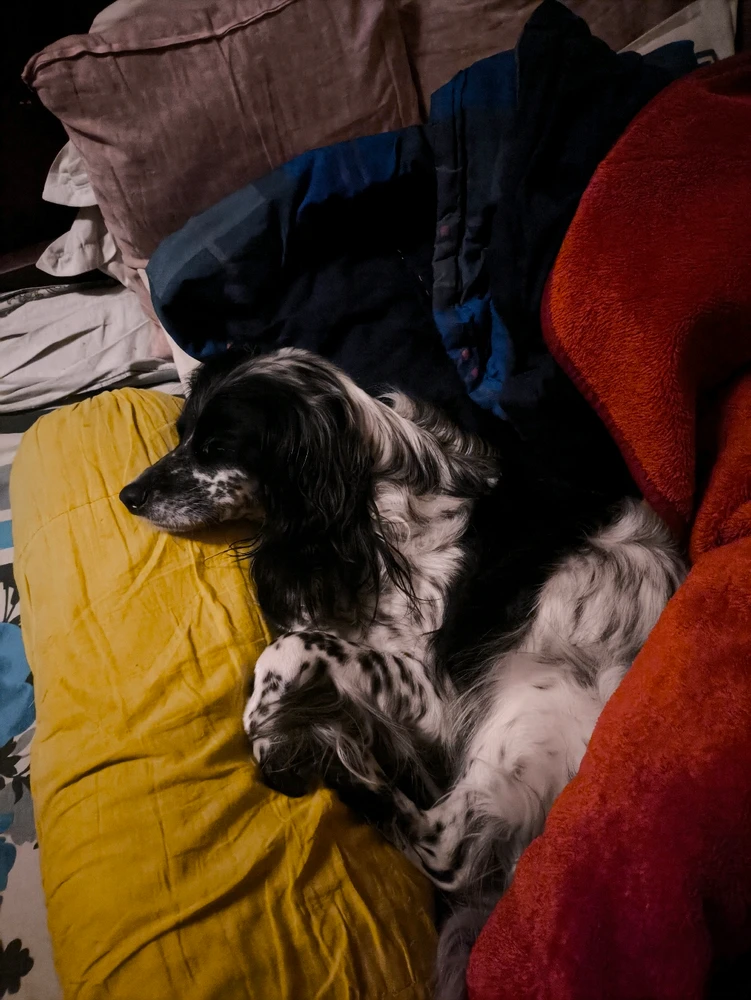 GIF uploaded by Neel Hiradhar