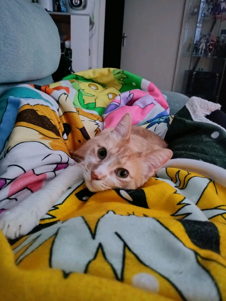 GIF ajouté par Pauline