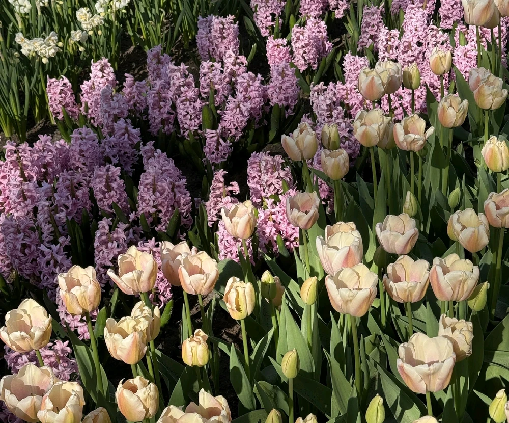 GIF uploaded by Barbara