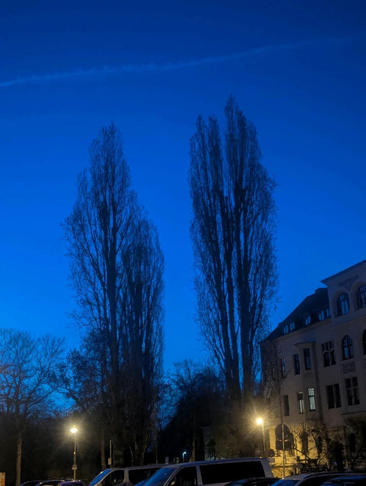 GIF uploaded by Shimal