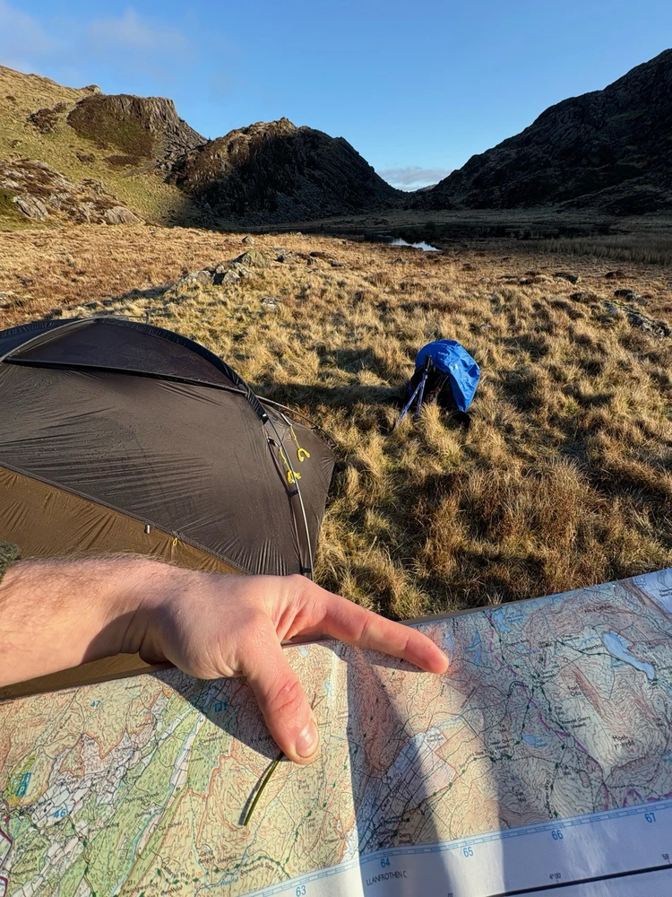 Grass pointer is location.