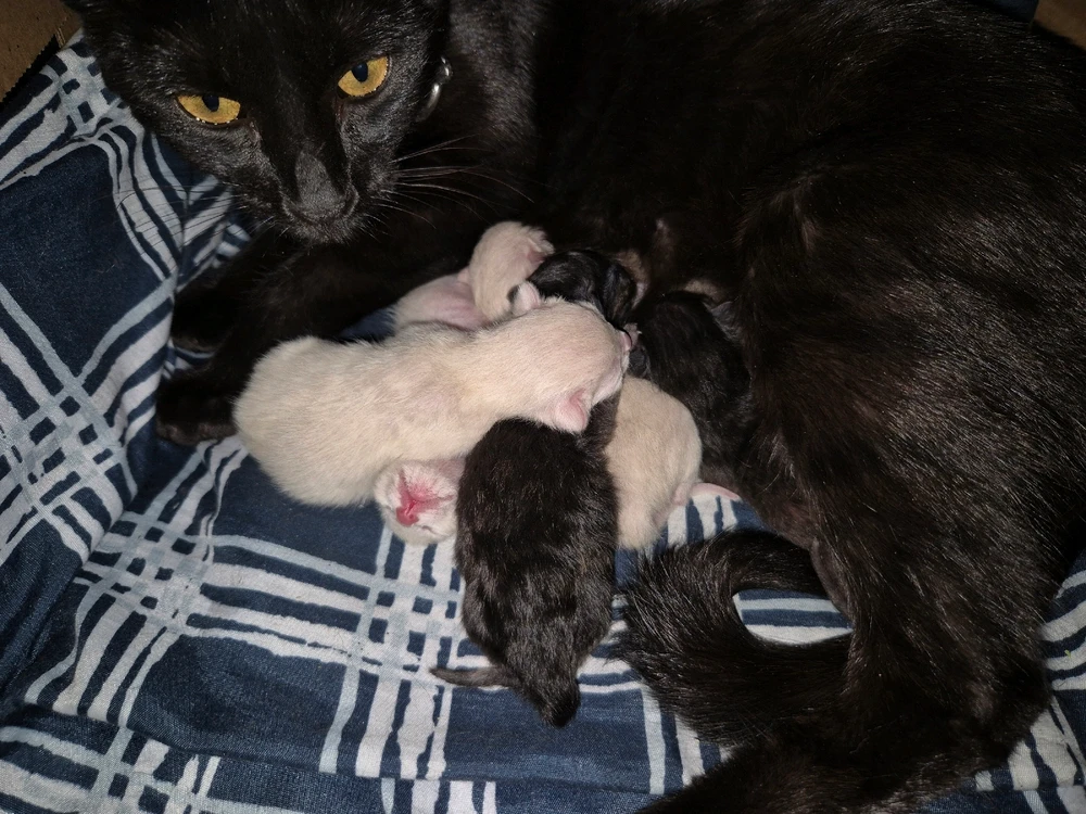 GIF subido por Gabriel