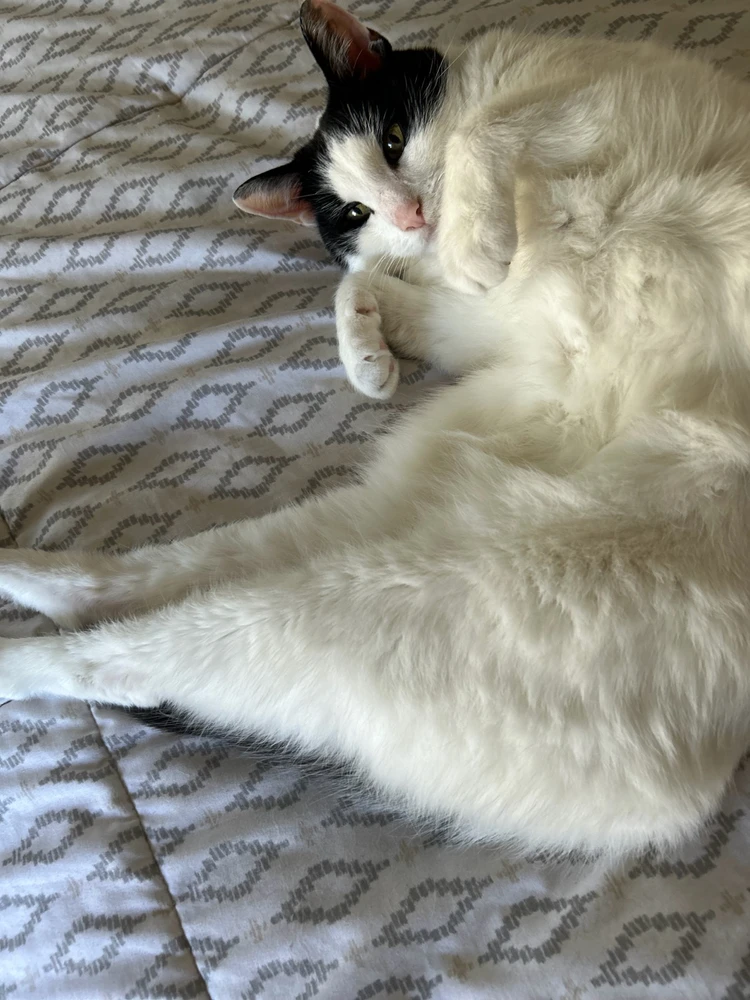 GIF uploaded by Brooke