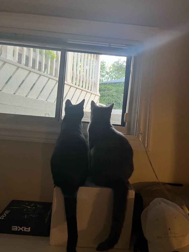 GIF uploaded by Sean