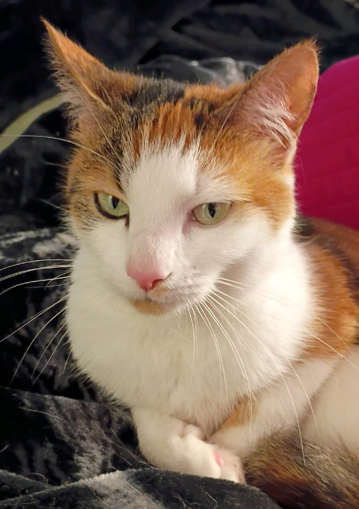 Image uploaded by Ryana