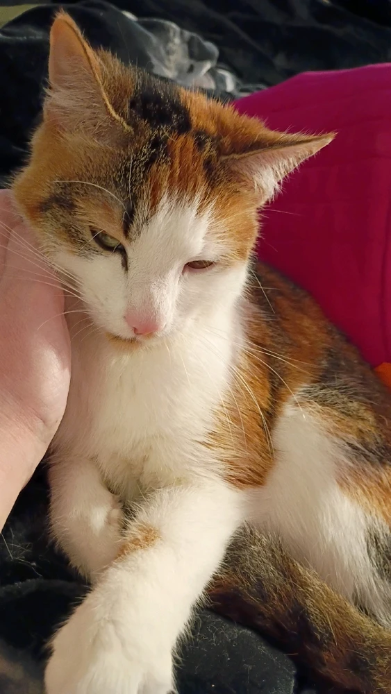 Image uploaded by Ryana