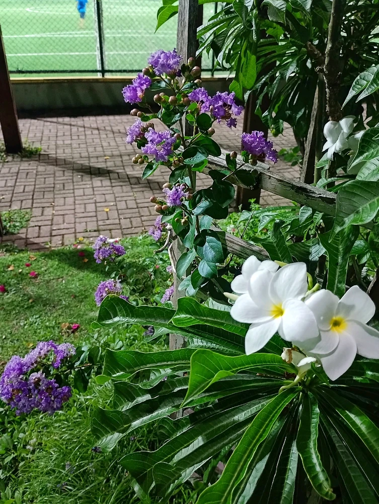 GIF uploaded by Nivea