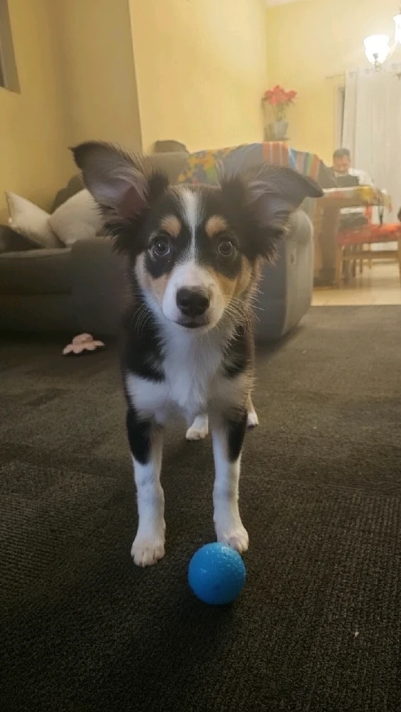 Image uploaded by Ali