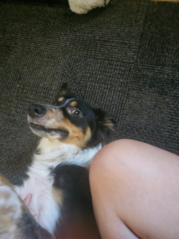 Image uploaded by Ali