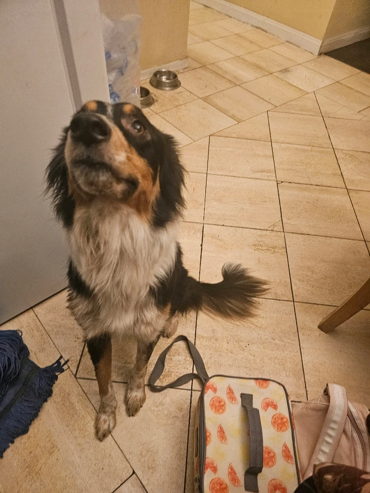 Image uploaded by Ali