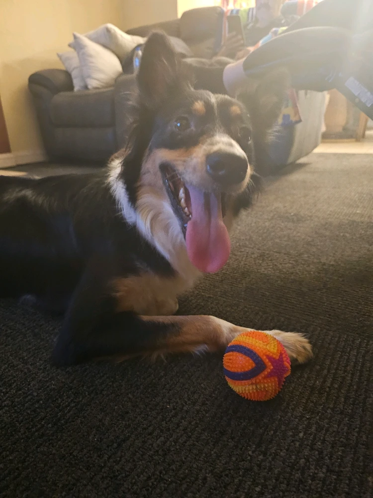 Image uploaded by Ali