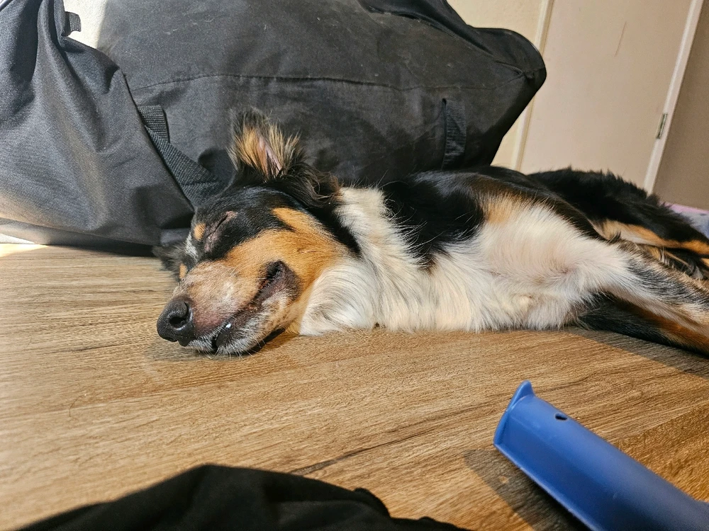 Image uploaded by Ali