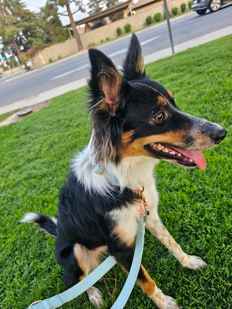 Image uploaded by Ali