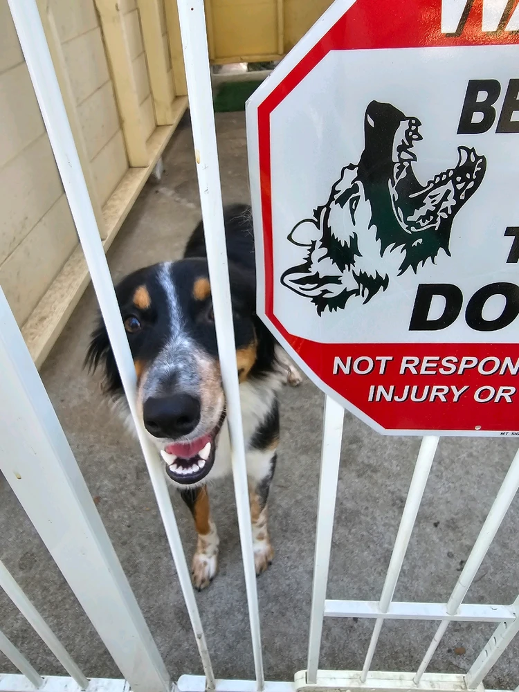 Image uploaded by Ali