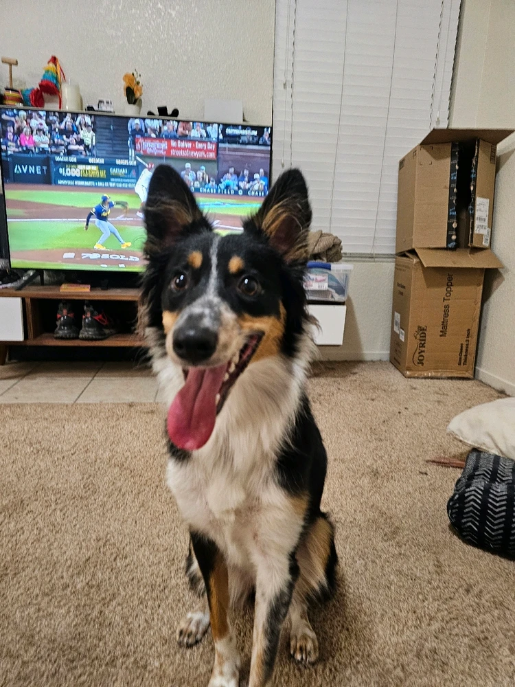 Image uploaded by Ali