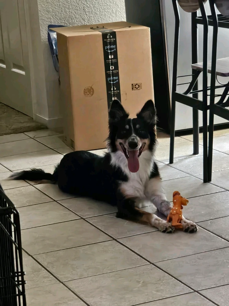 Image uploaded by Ali