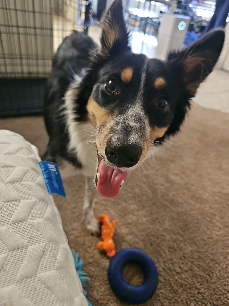 Image uploaded by Ali