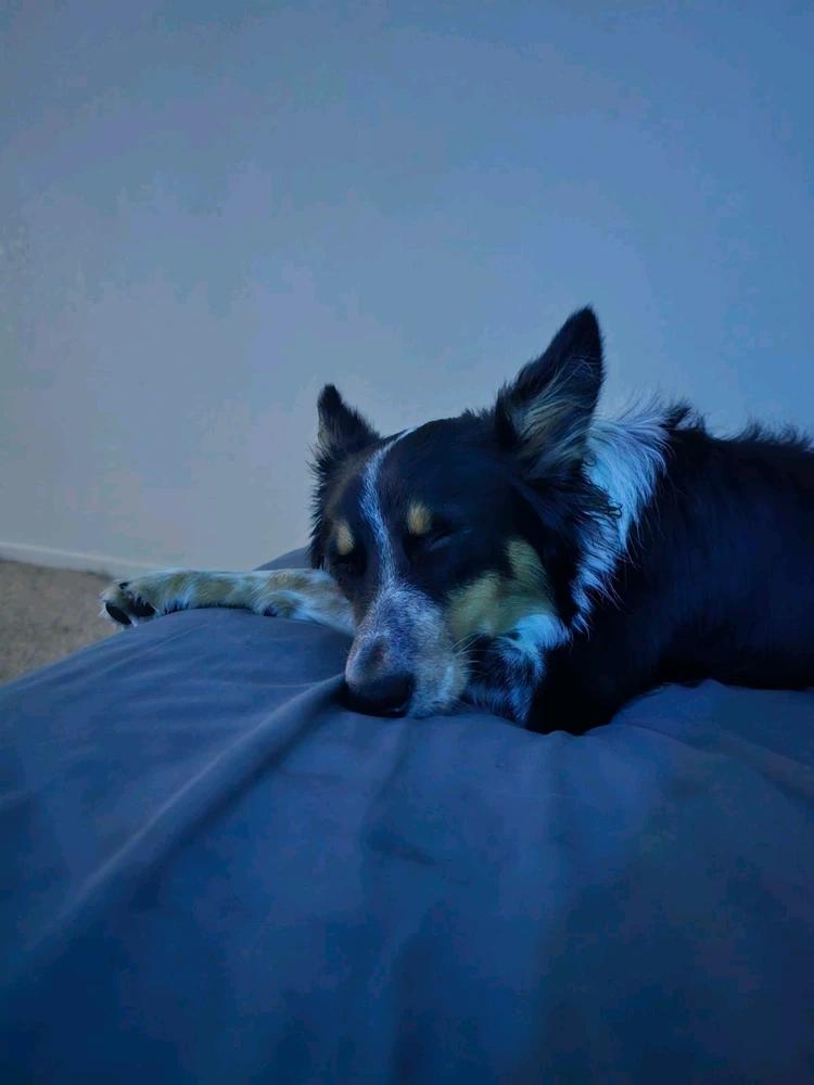 Image uploaded by Ali