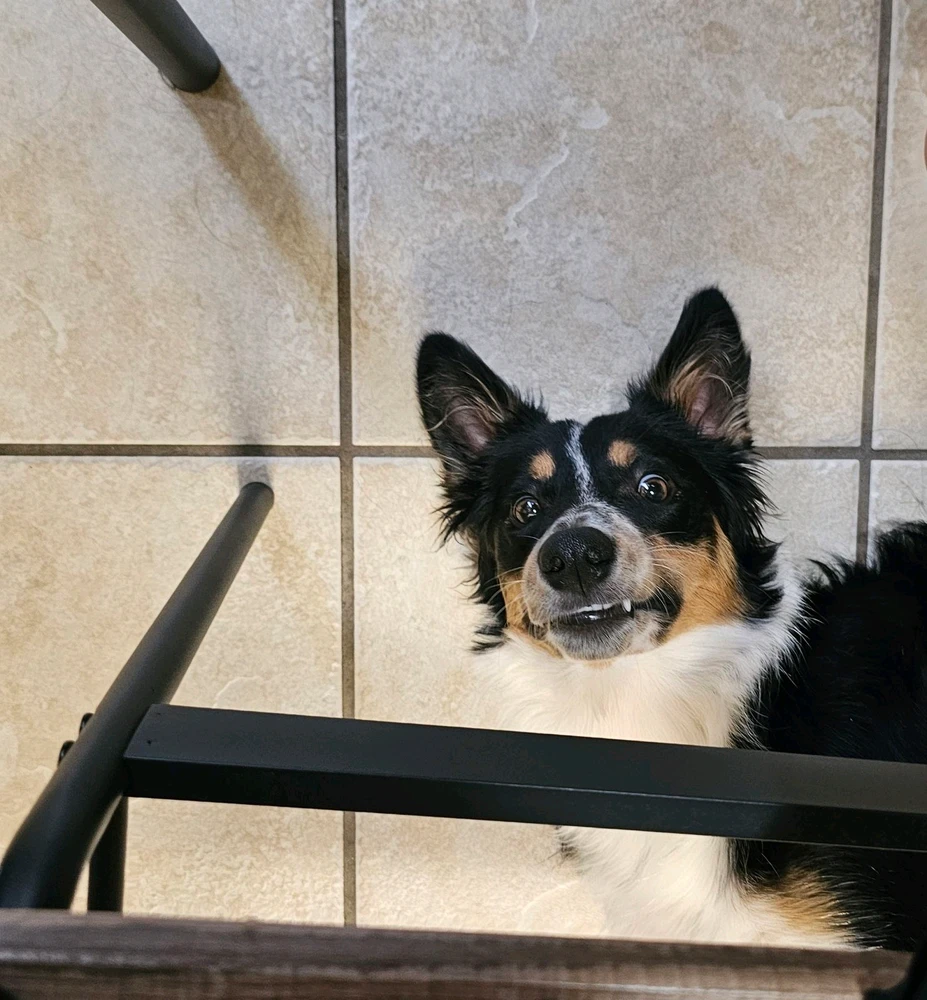 Image uploaded by Ali