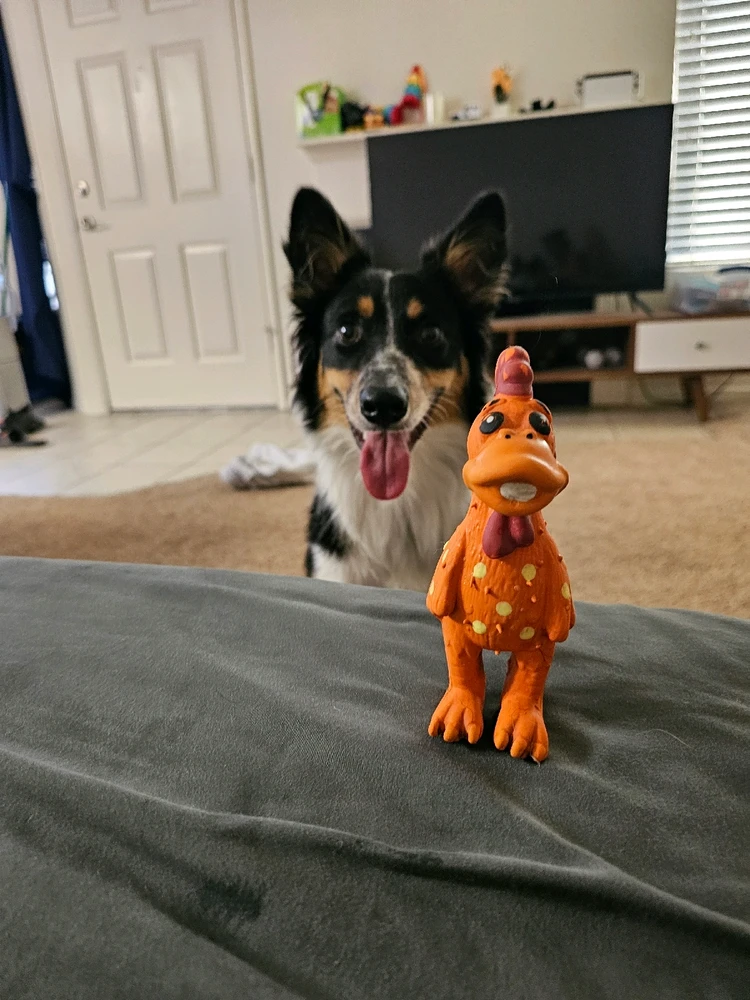 Image uploaded by Ali