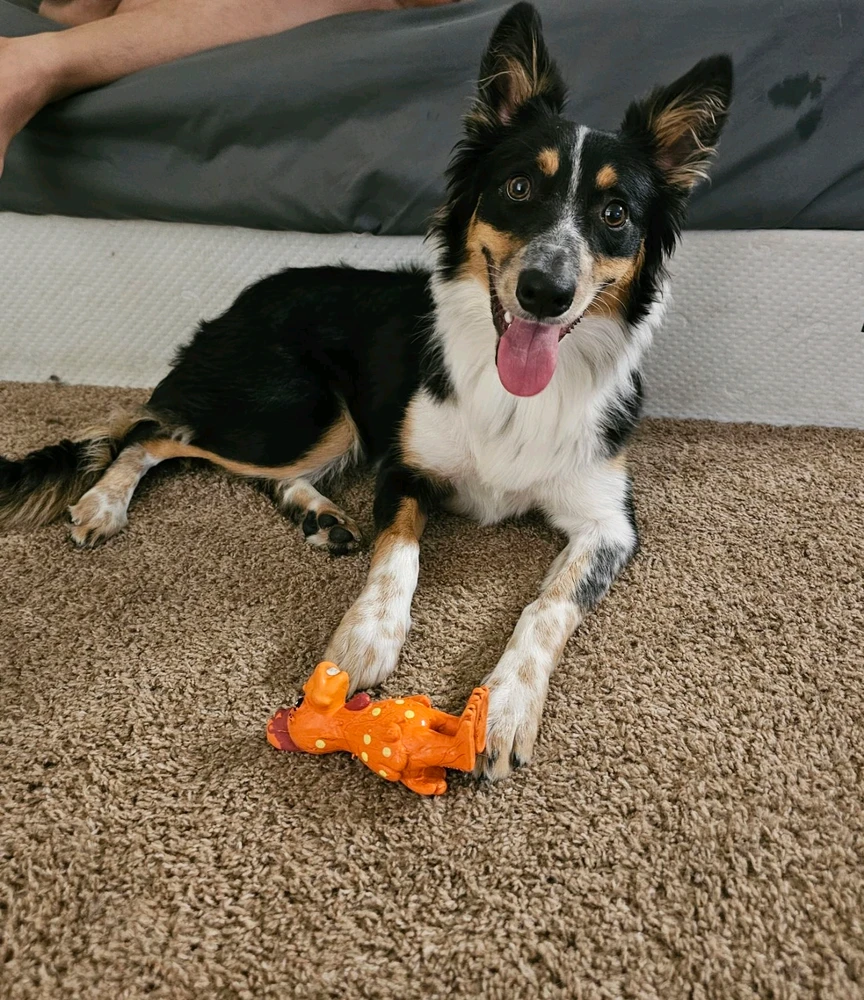 Image uploaded by Ali