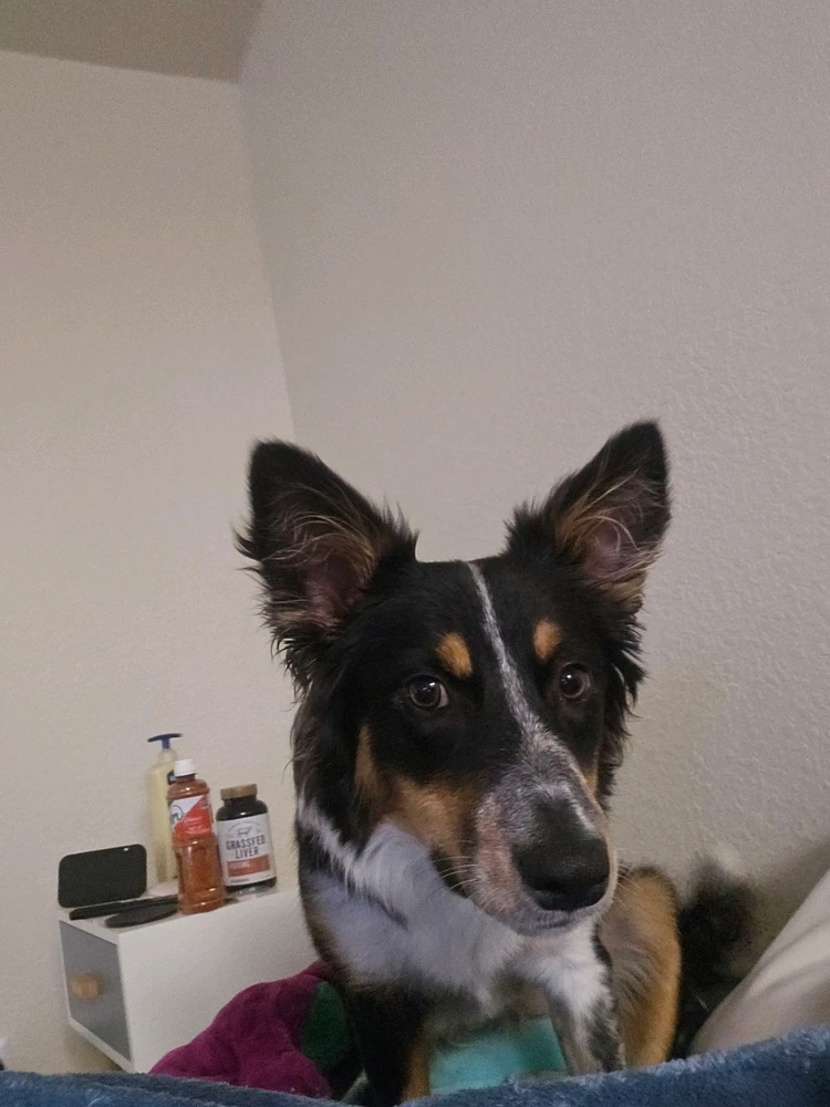 Image uploaded by Ali