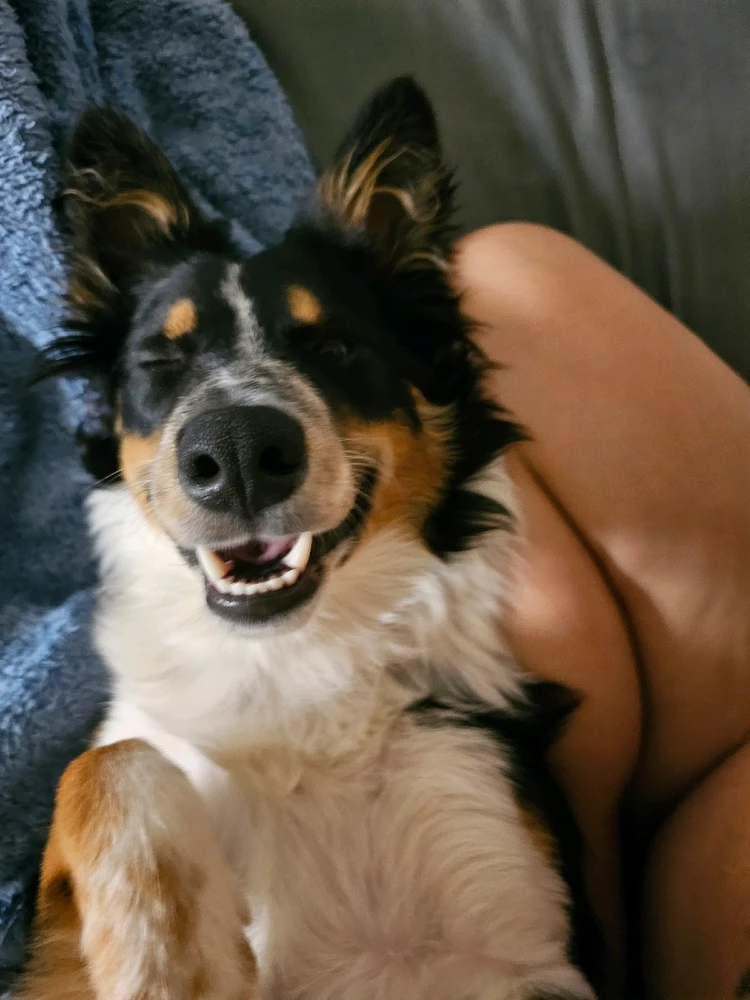 Image uploaded by Ali