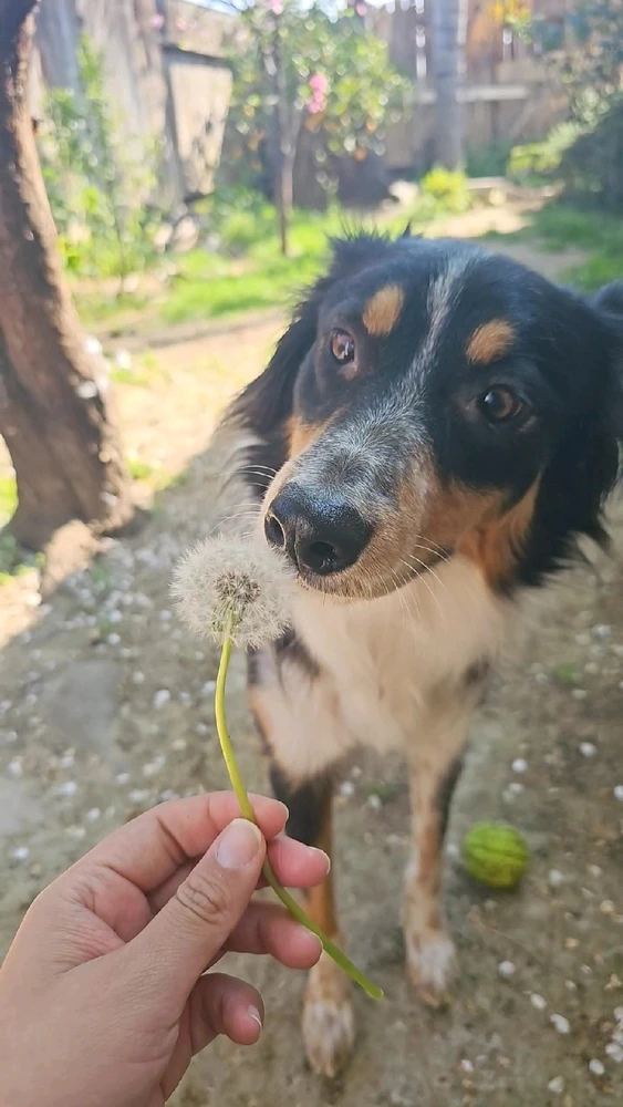 Image uploaded by Ali