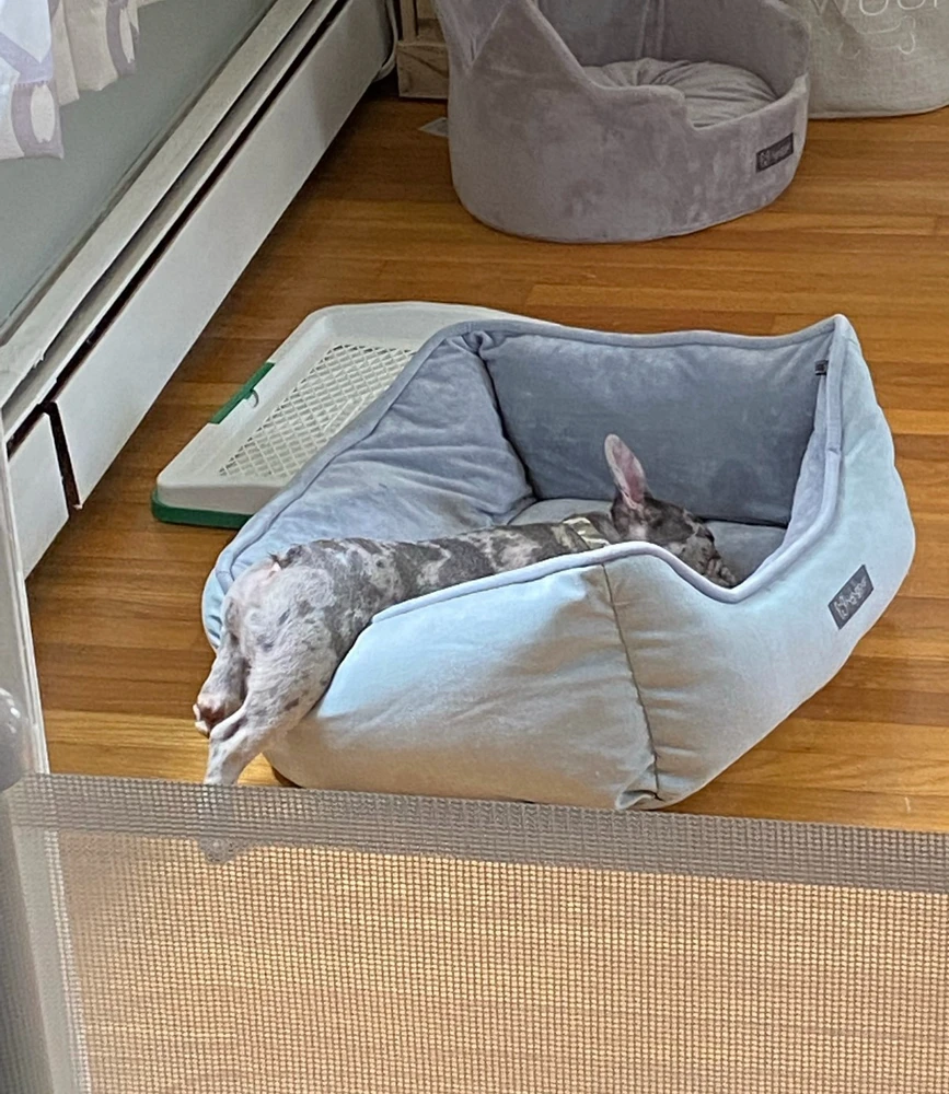 GIF uploaded by Brooke