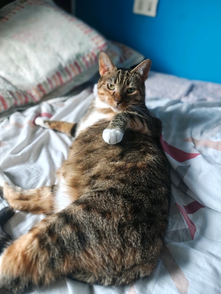 Imagen subida por Antonio