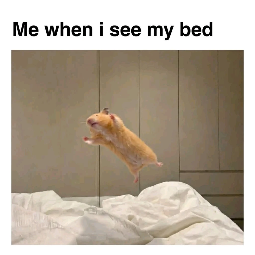 GIF uploaded by Chrif