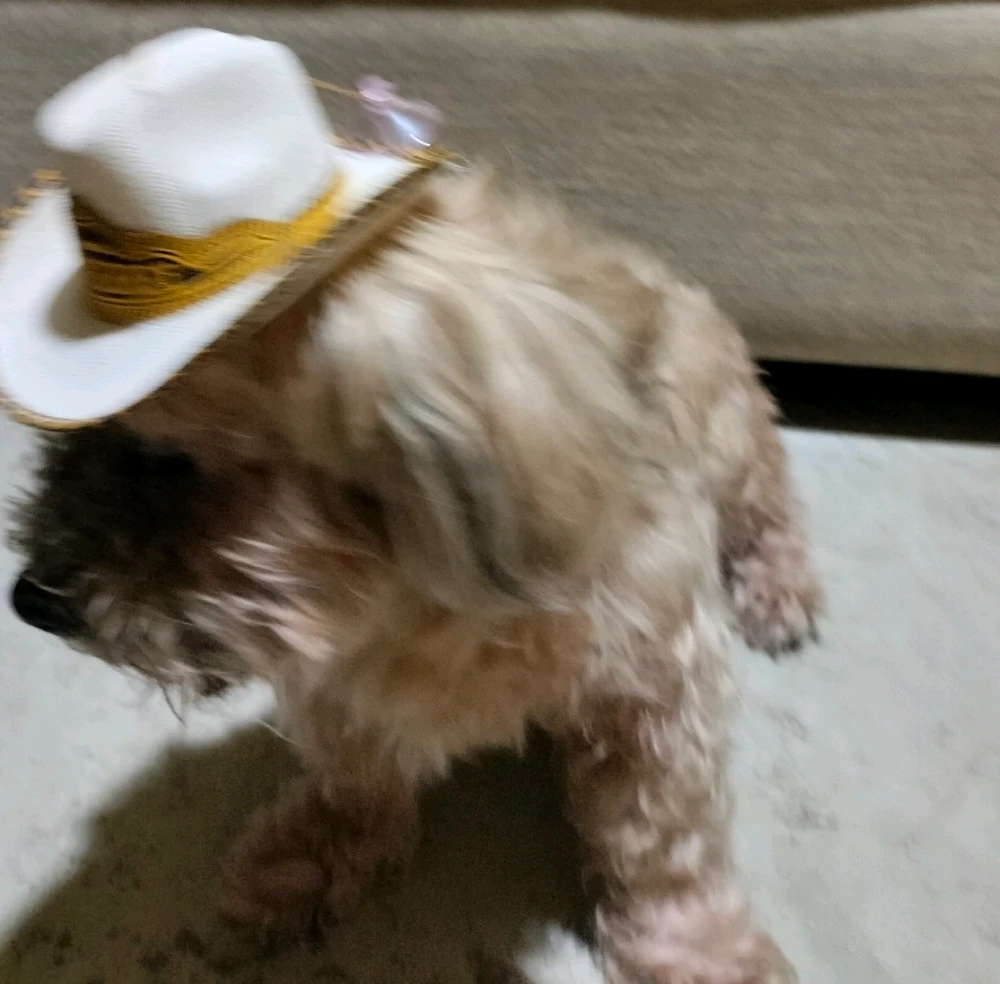 GIF subido por Karla