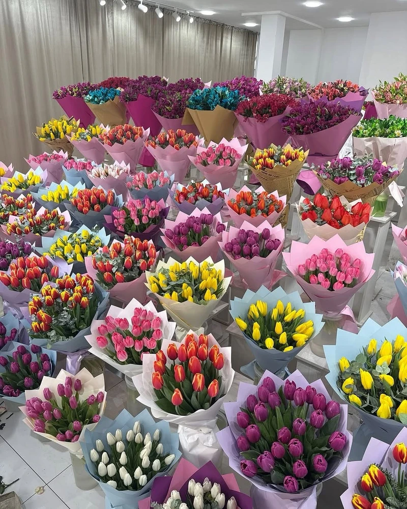 GIF uploaded by Mae Yang