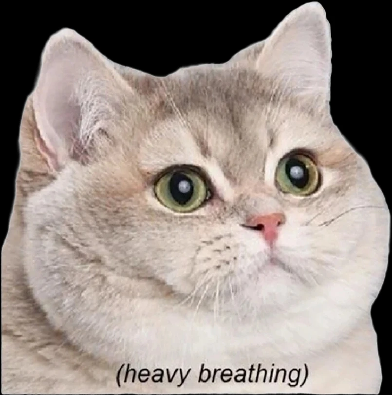 GIF uploaded by 𔓎ꑀꌅ꒐ꈵꁲ𔓎 (𖣠ꘘꘘ 𖢧ꛅ𖤢 𖢑ꛎ𖦪𖢉𖤢𖢧)