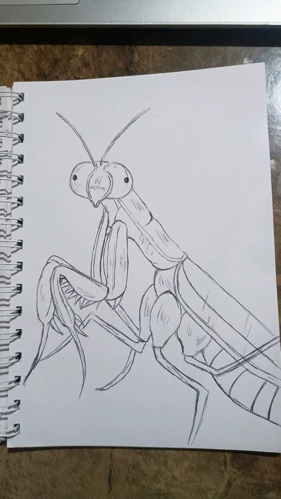 Imagen subida por Noe