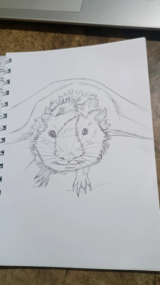 Imagen subida por Noe