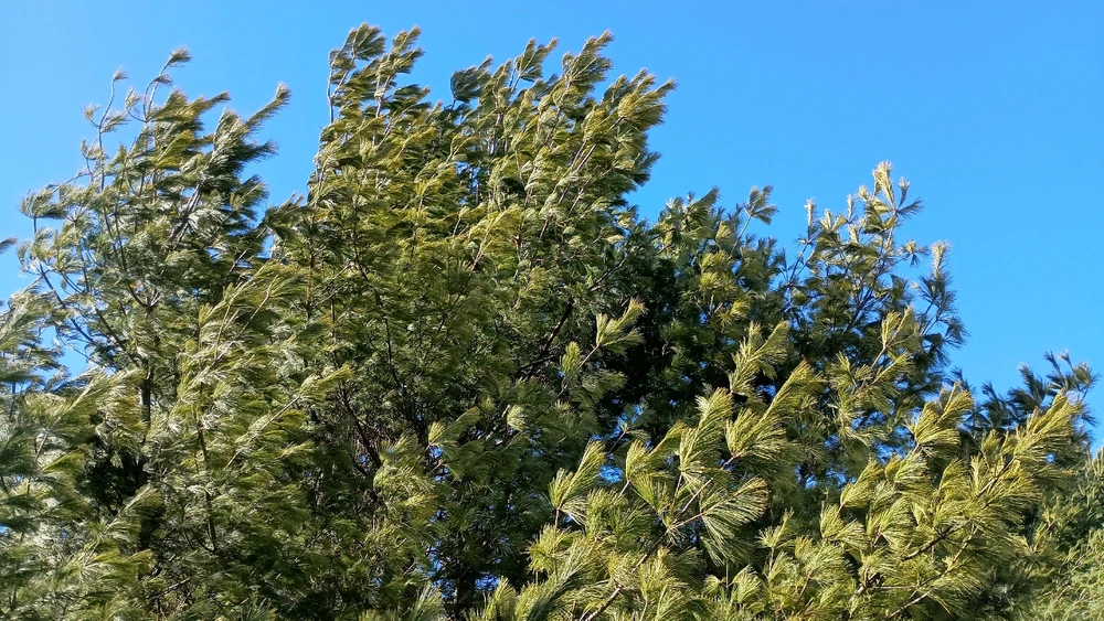 Image uploaded by Reo