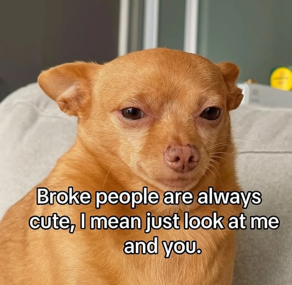 GIF uploaded by Shen