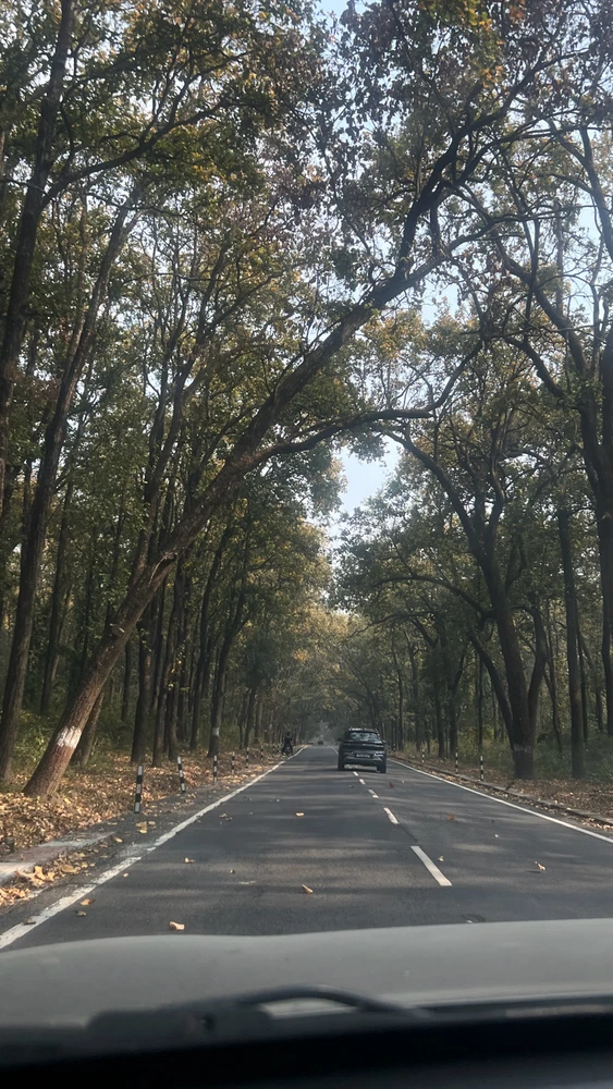 GIF uploaded by Shashank