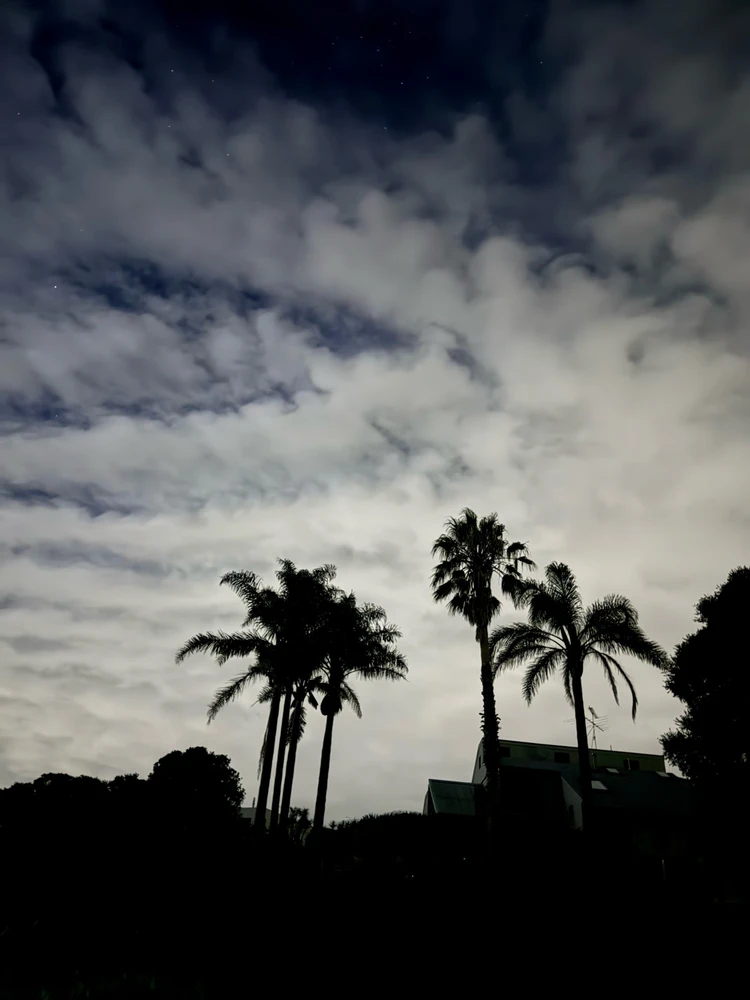 Image uploaded by Lettie