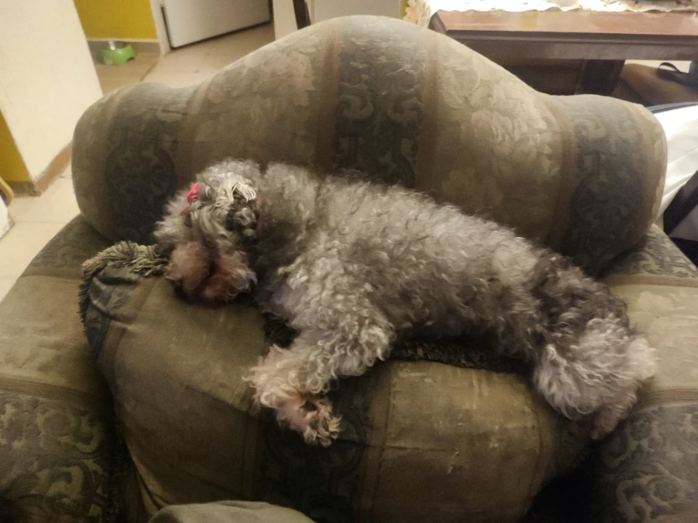 GIF uploaded by Abraham