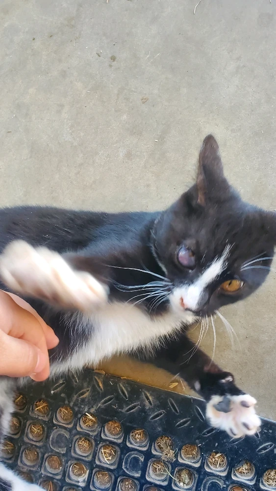 Image uploaded by Katie