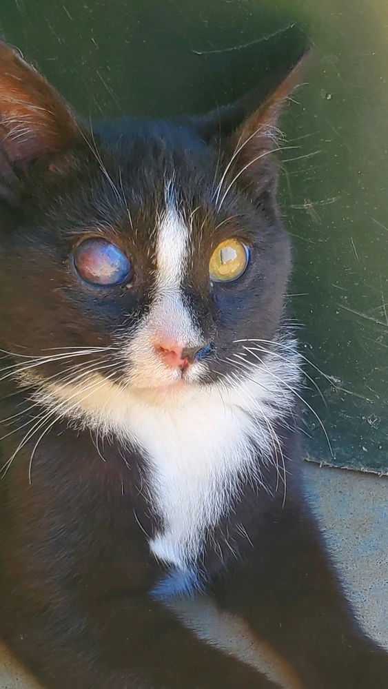 Image uploaded by Katie