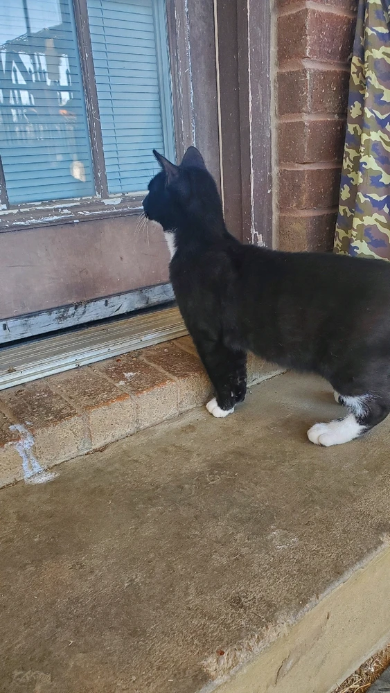 Image uploaded by Katie