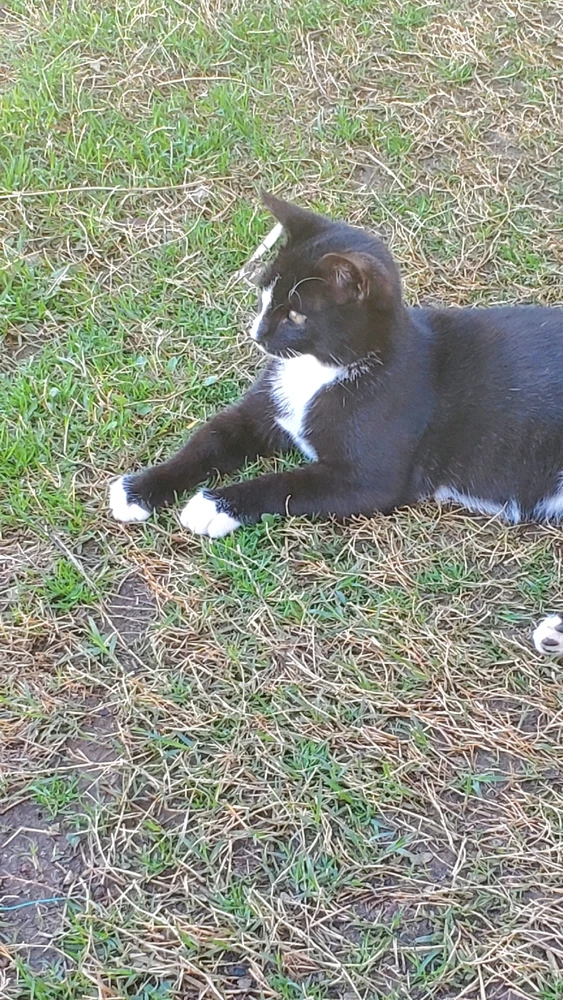 Image uploaded by Katie