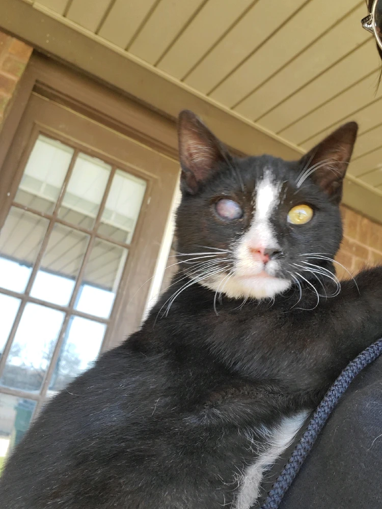 Image uploaded by Katie