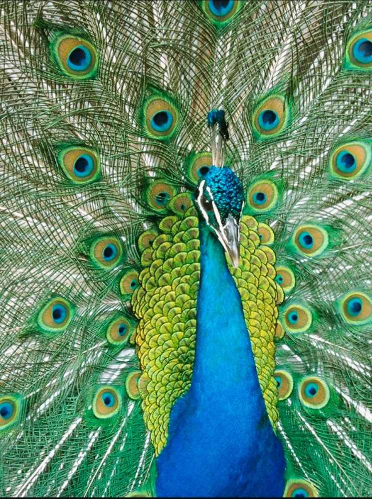 GIF uploaded by Gerald