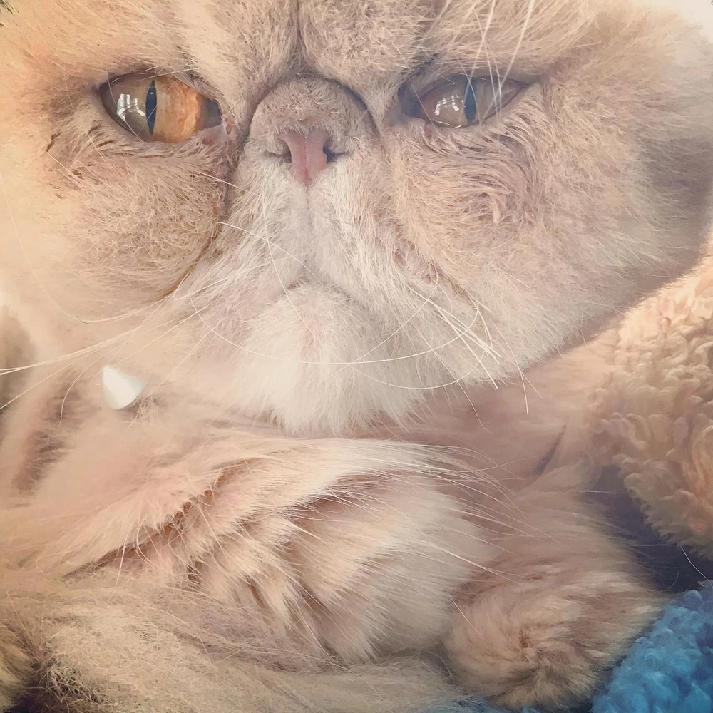 GIF uploaded by Elias